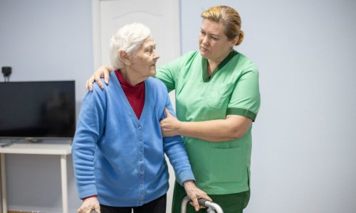 Пансионат «Дом бабушек и дедушек» - 5